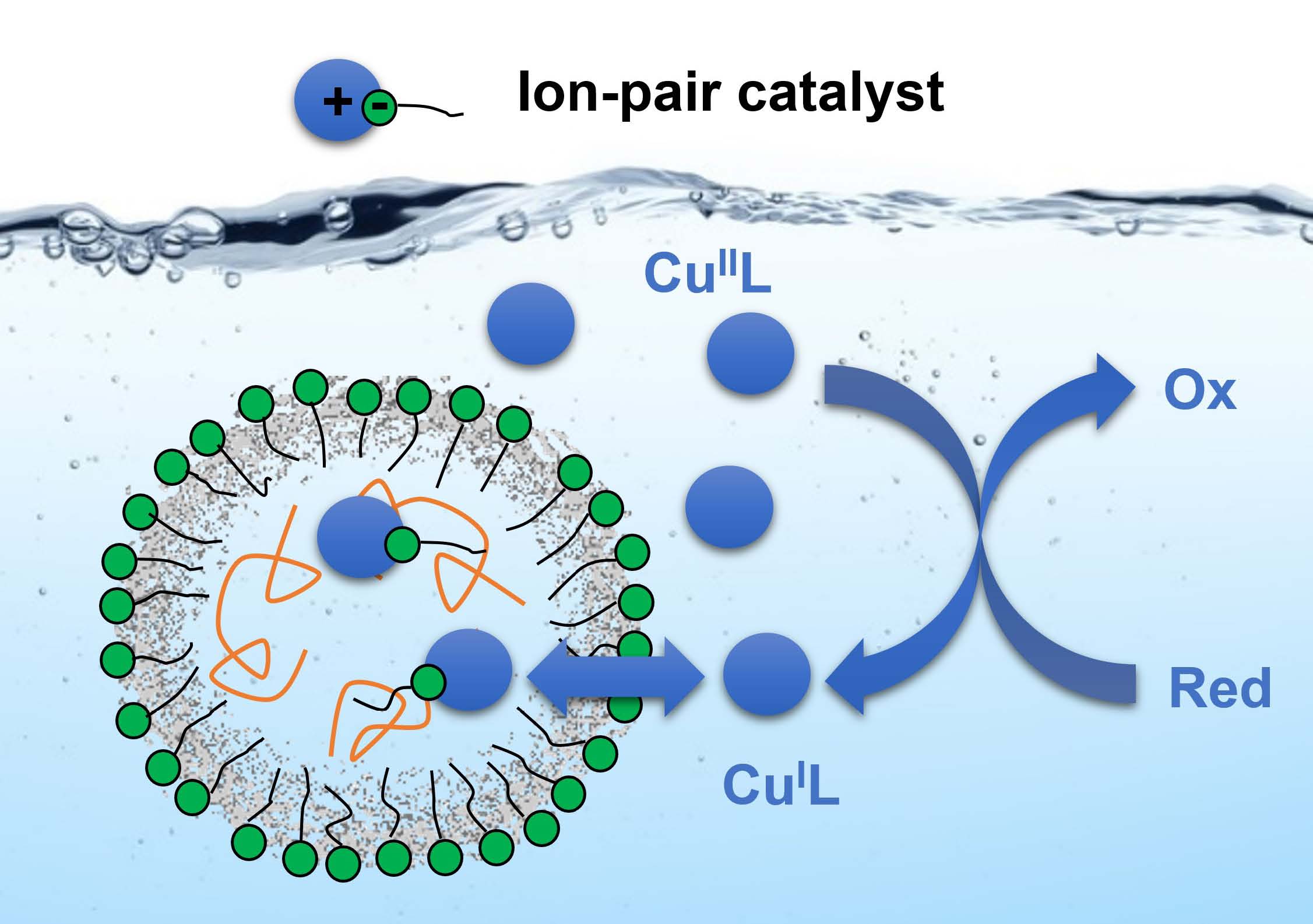 ion pair catalyst